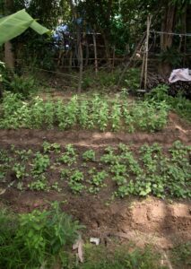 Eau plus près des khmers